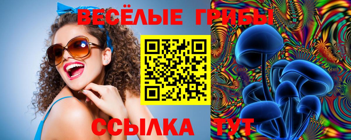 Россошь  Галлюциногенные грибы ЛСД  Вход с VPN 