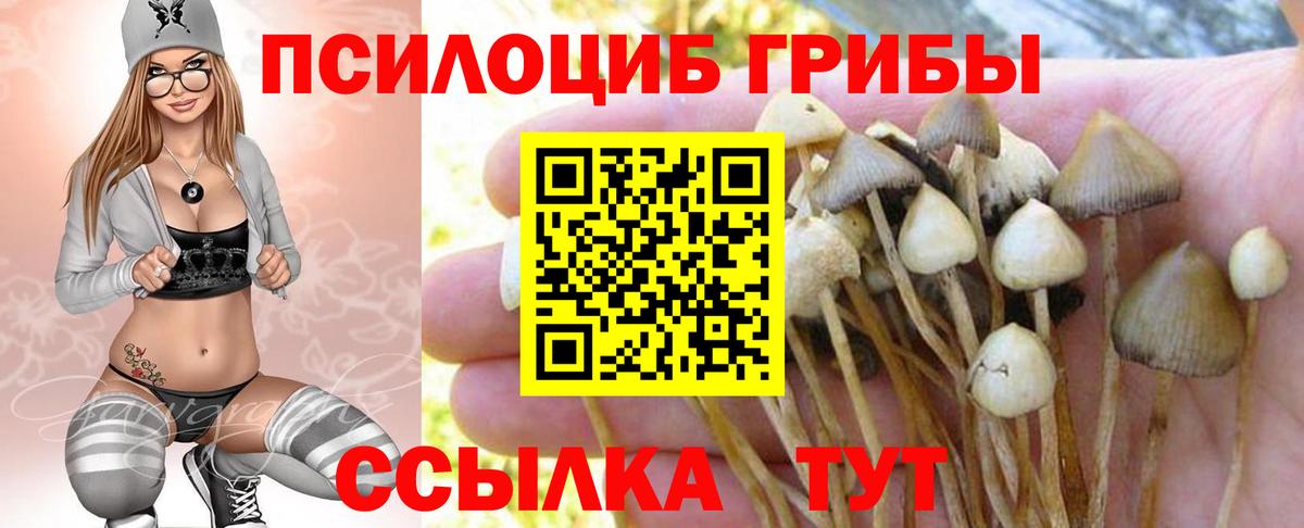 Псилоцибиновые грибы ЛСД Россошь