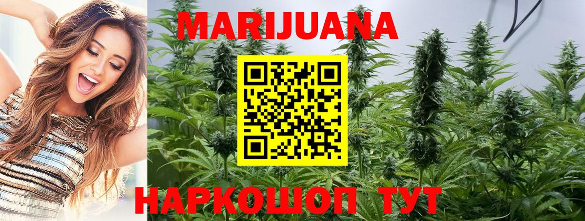 Бошки марихуана THC 21%  Вход с VPN  Каннабис SATIVA & INDICA  Россошь  Бошки Шишки марихуана  МАРИХУАНА VHQ 